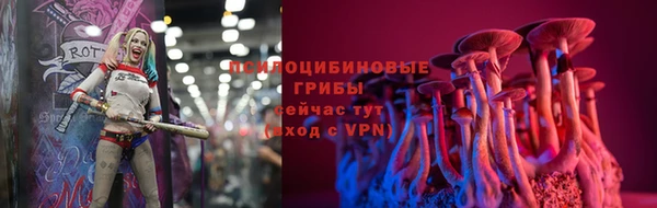 прущие грибы Абдулино