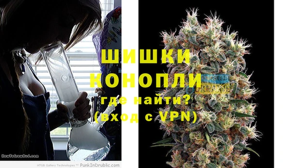 прущие грибы Абдулино