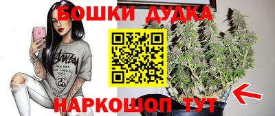 spice Абинск