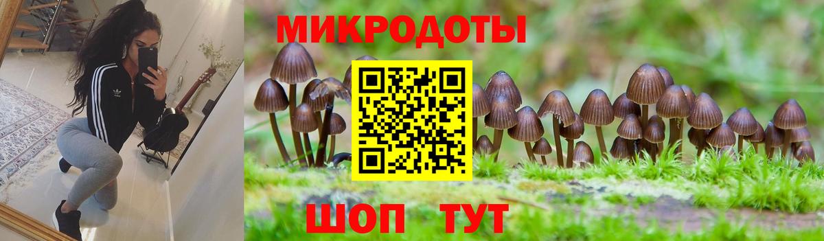 Абинск  Псилоцибиновые грибы мухоморы  Вход с VPN 